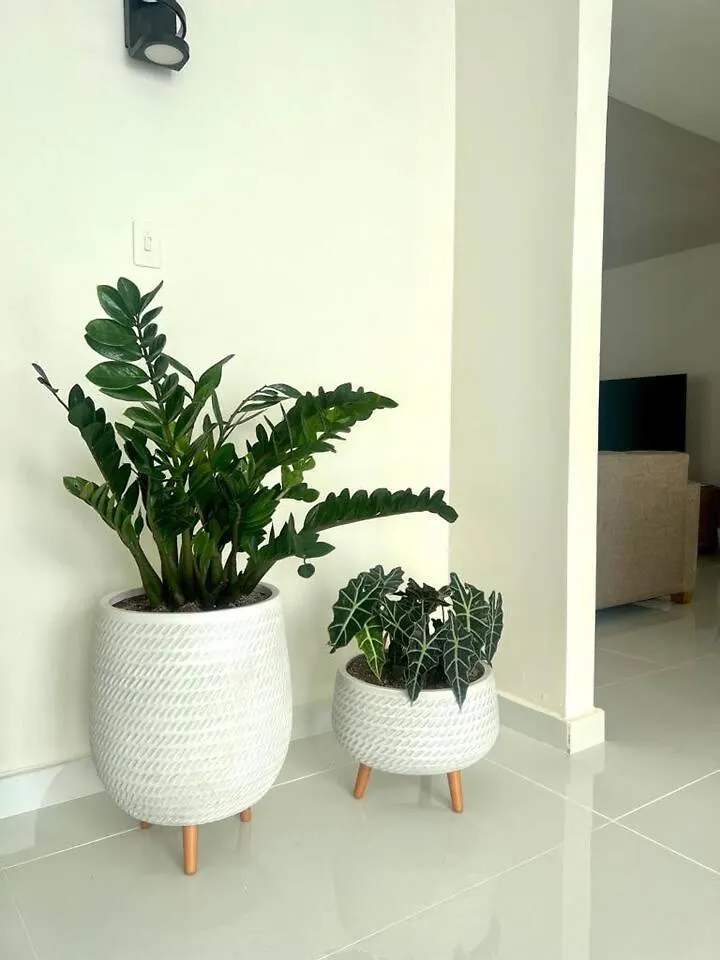 Tranquil Retreat Beautiful House Villa San Juan 0*,  Puerto Rico
